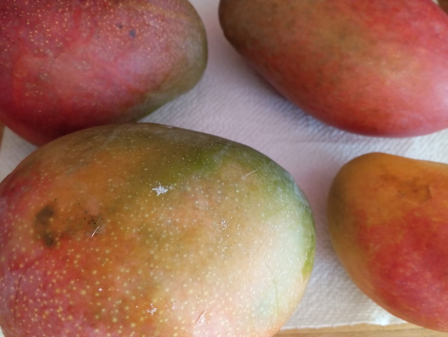 Customer photo review of Mango Mix von Juan 3kg Sonderaktion %