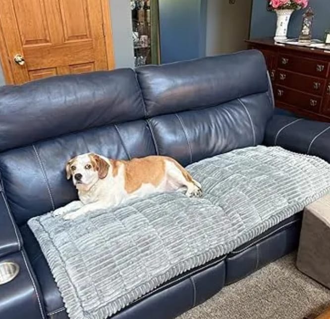 Customer photo review of Loami CozyCover™ – die kuschelige Sofadecke für Haustiere 🐾