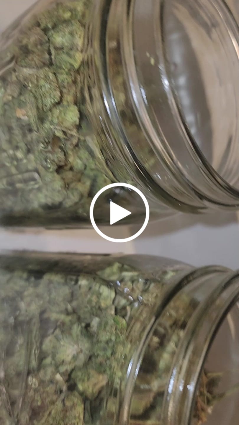 Customer video review of Cheap THCA Smalls Quarter Pound