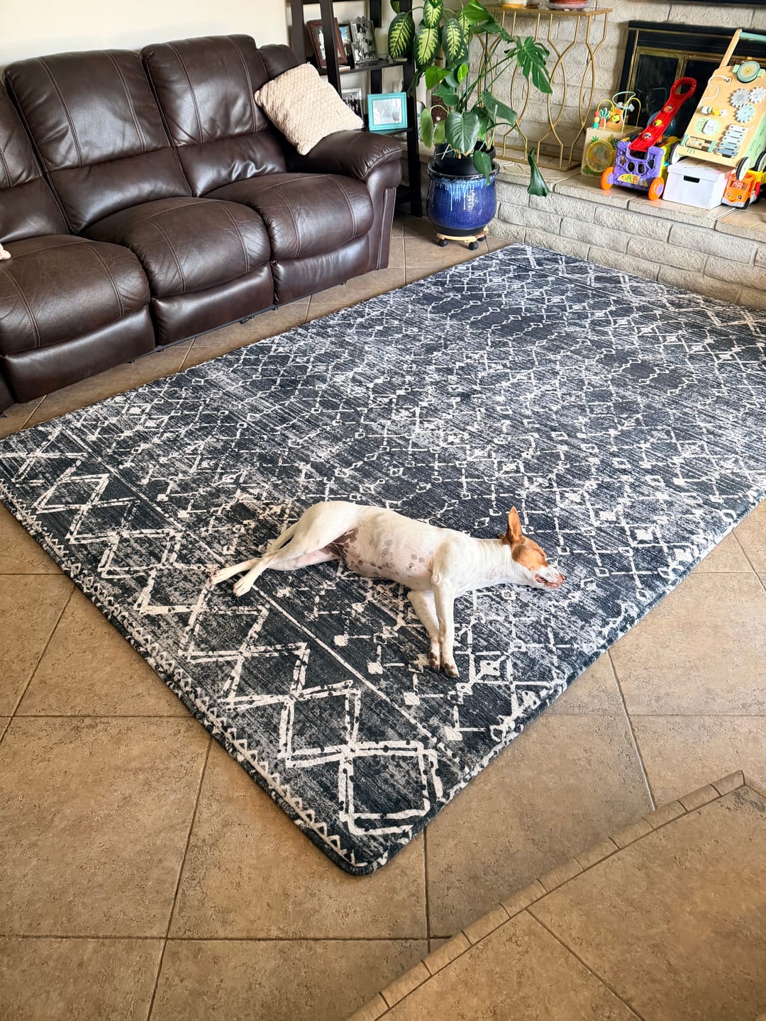 Customer photo review of Designer Relax Mat - 1.4" Thick Foam Base