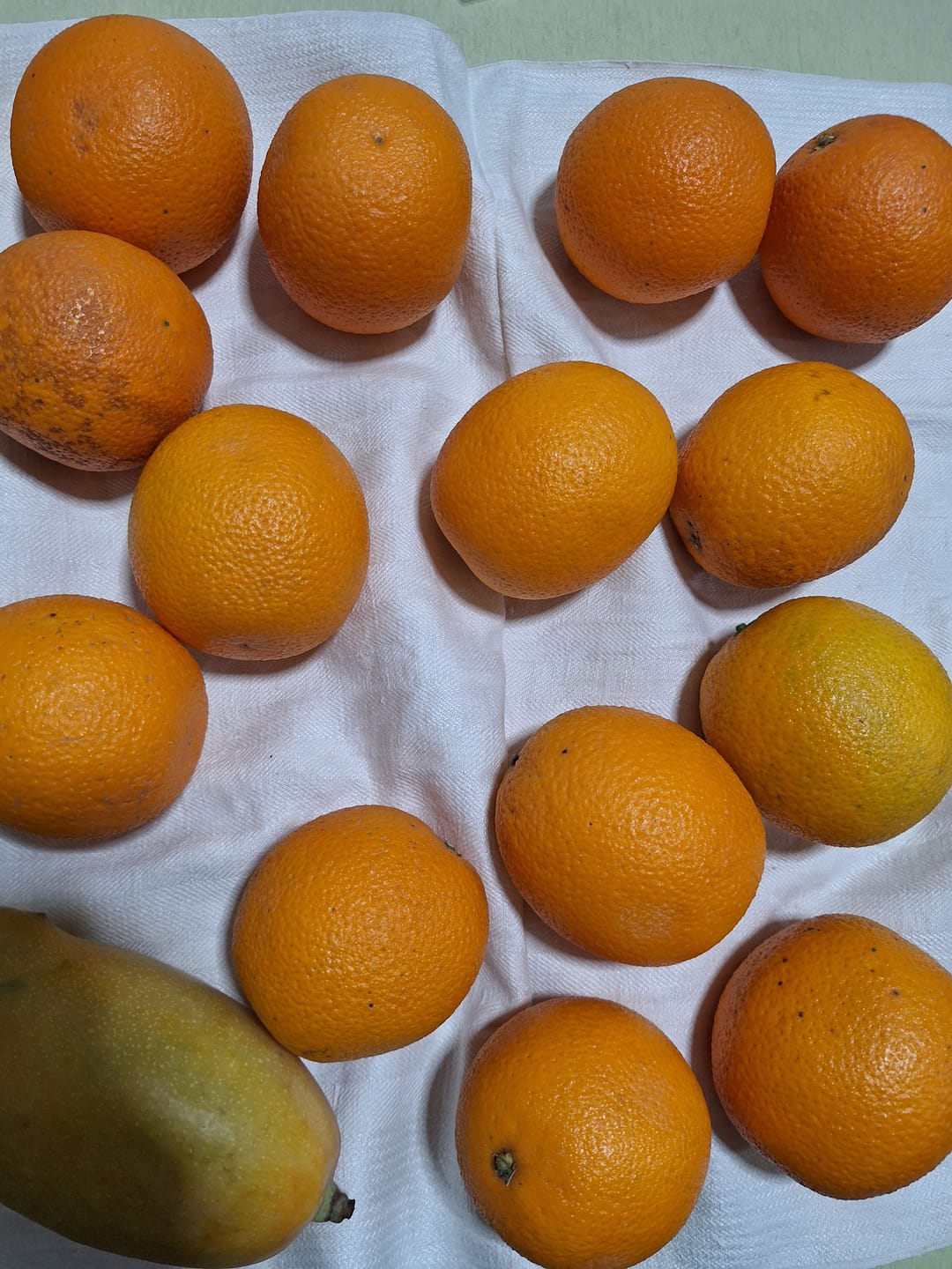 Customer photo review of Orangen Valencia Bio neue Ernte