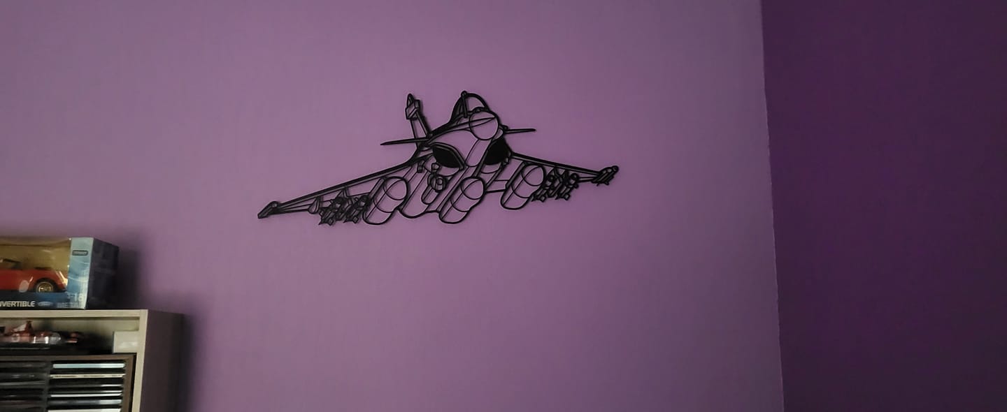 Customer photo review of Rafale Angle Silhouette Metal Wall Art