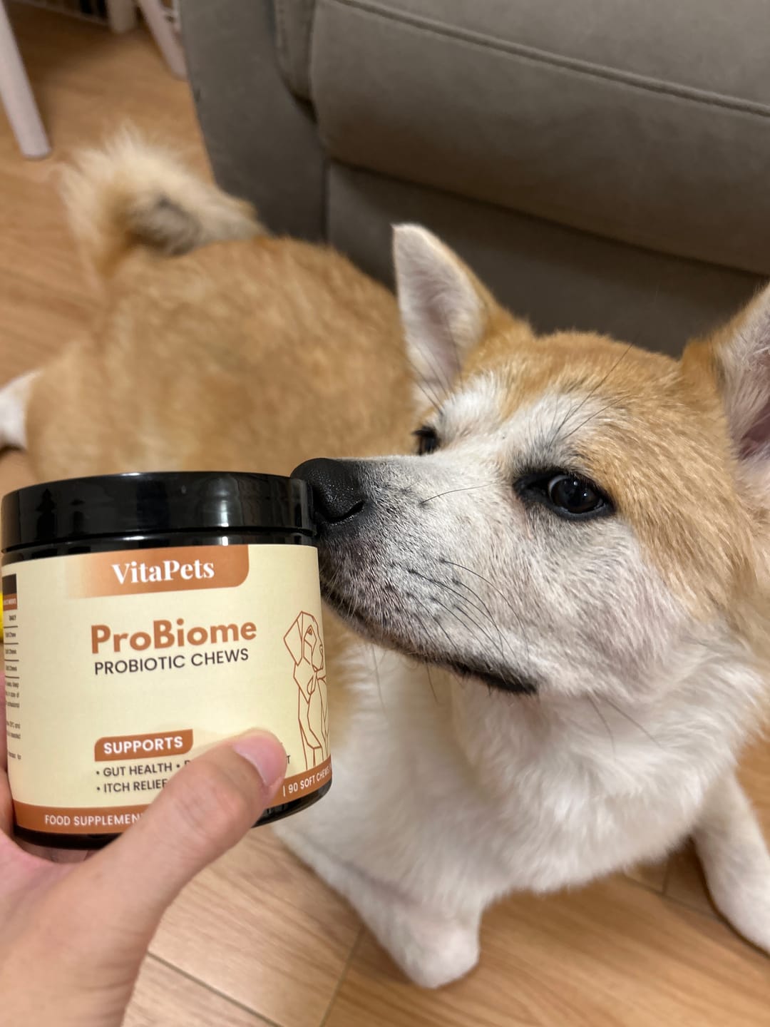 Customer photo review of ProBiome™狗狗益生菌軟粒