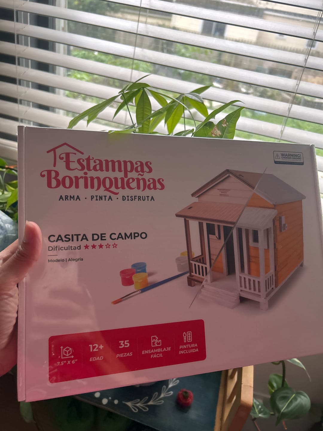Customer photo review of Casita de Campo Alegría | Kit DIY Madera y Pintura