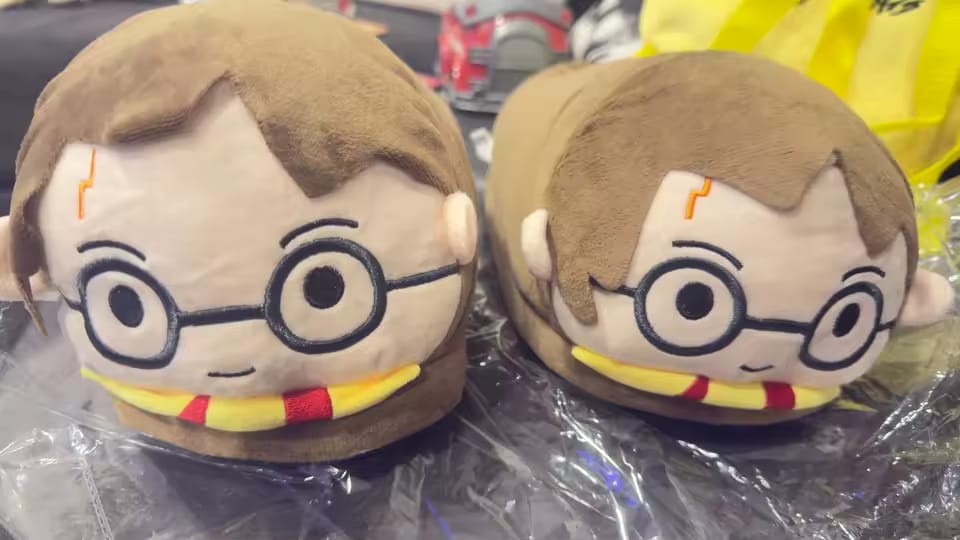 Customer photo review of Chaussons Harry Potter