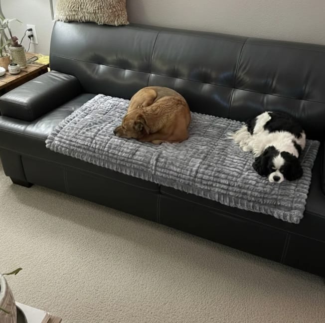 Customer photo review of Loami CozyCover™ – die kuschelige Sofadecke für Haustiere 🐾