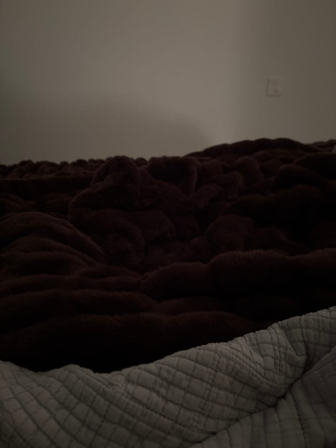 Customer photo review of Hugs Antelope Blanket