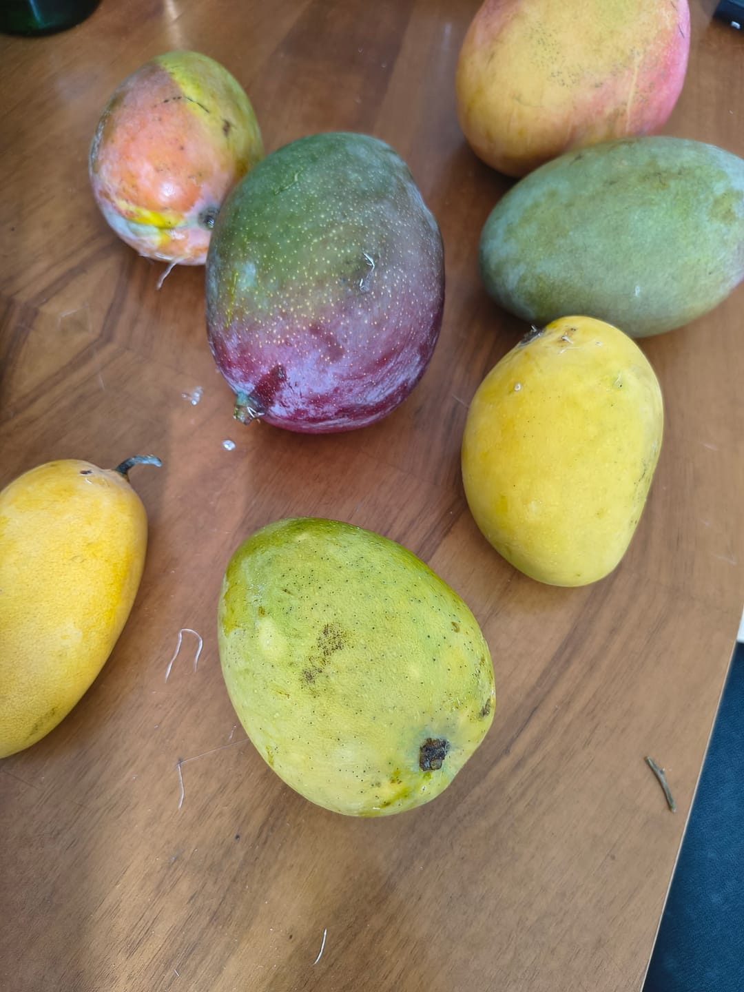 Customer photo review of Mango Entdeckerbox (8-10 Sorten!)