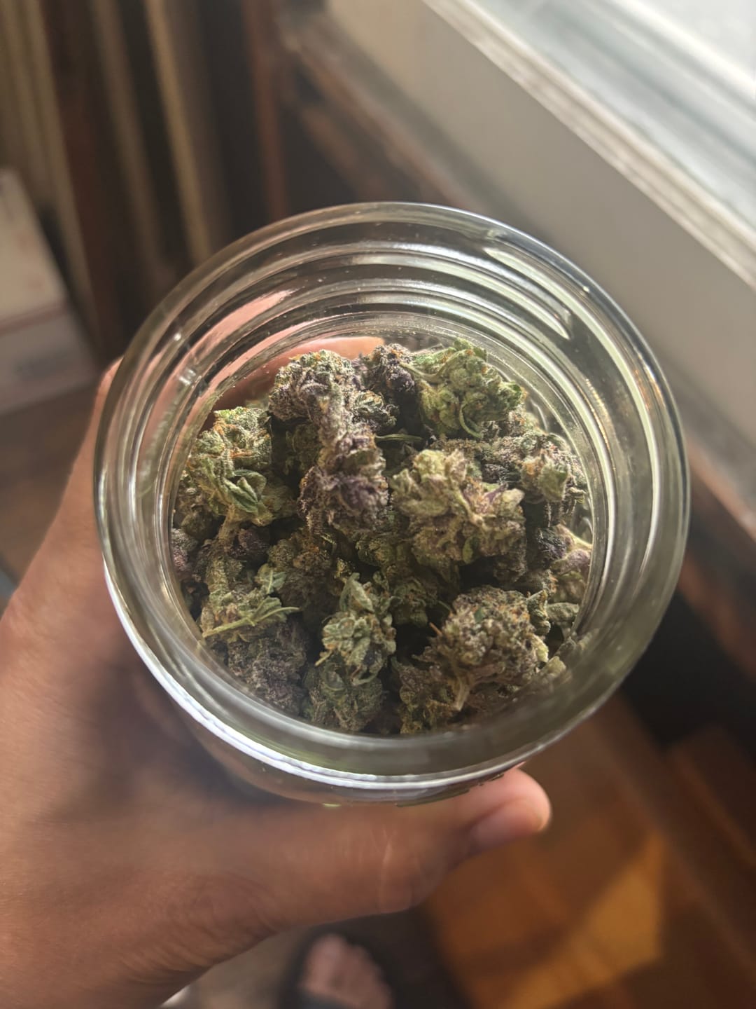 Customer photo review of Gush Mintz THCA Flower (Budget)