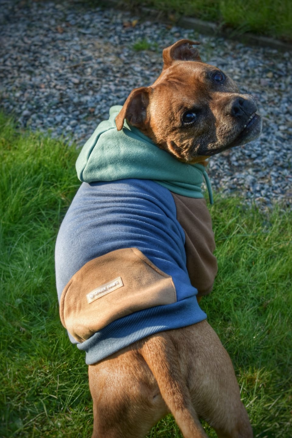 Customer photo review of Alpine Dog Hoodie
