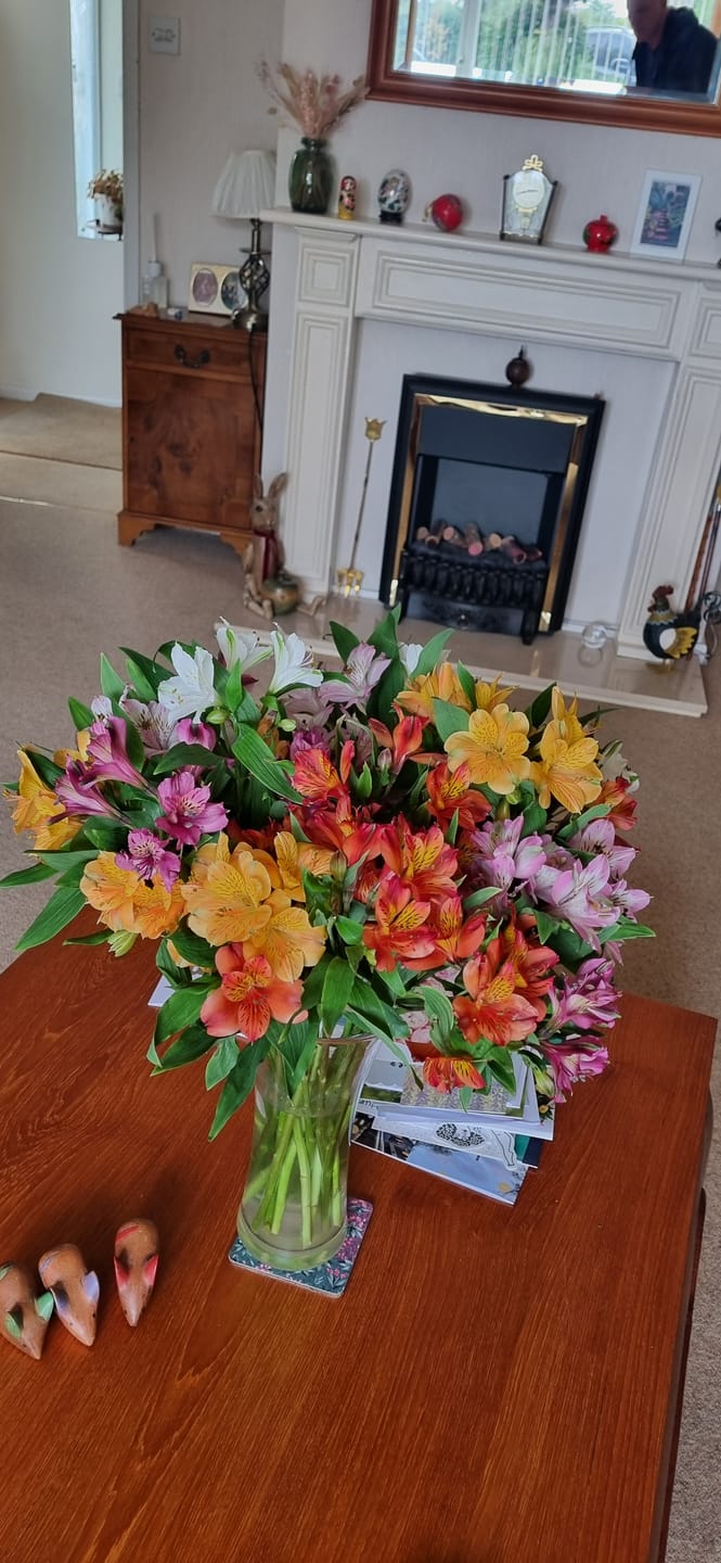 Customer photo review of Guernsey Mixed Alstroemeria Flowers