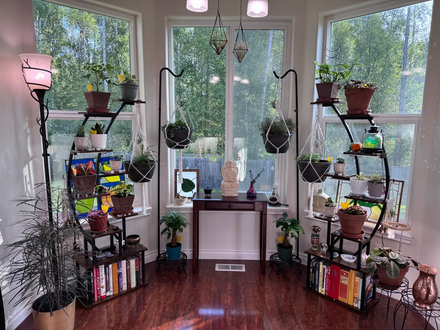 Customer photo review of Fungus Gnat Death Drops