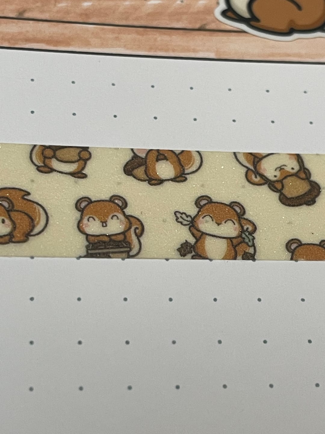 Customer photo review of Squirrelly Acorn Washi Tapes (Set of 2)