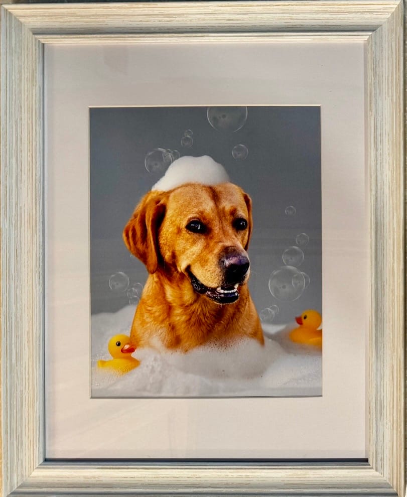Customer photo review of Personalized Dog Bathtub Art