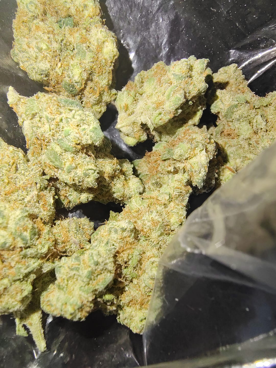 Customer photo review of Biscotti THCA Flower (Budget)