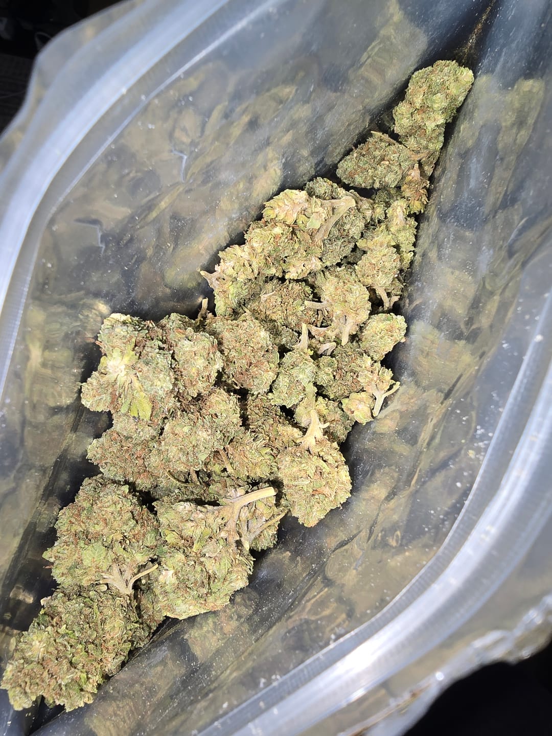 Customer photo review of Toad Crossing THCA Flower - Cheap Oz