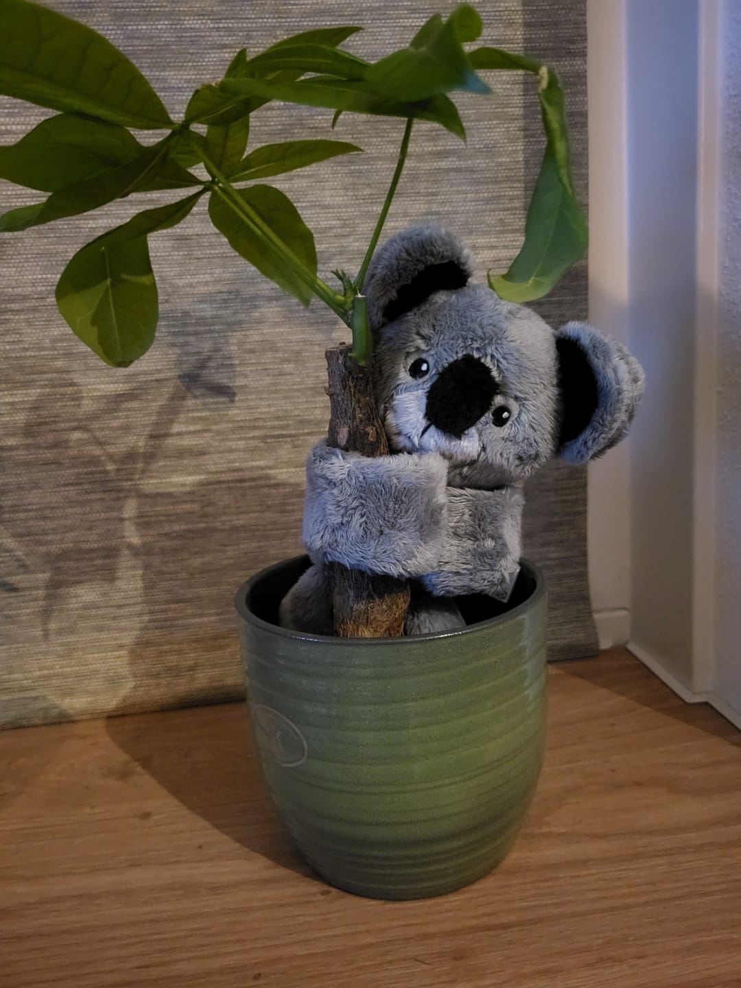 Customer photo review of Lotgenootje Koala 2kg