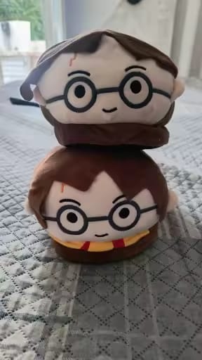 Customer photo review of Chaussons Harry Potter
