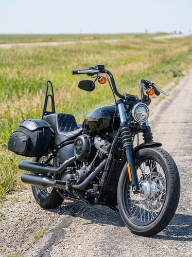 Customer photo review of 60L - Stealth XL Quick Mount Saddlebags for Harley Softail Street Bob FXBB/S