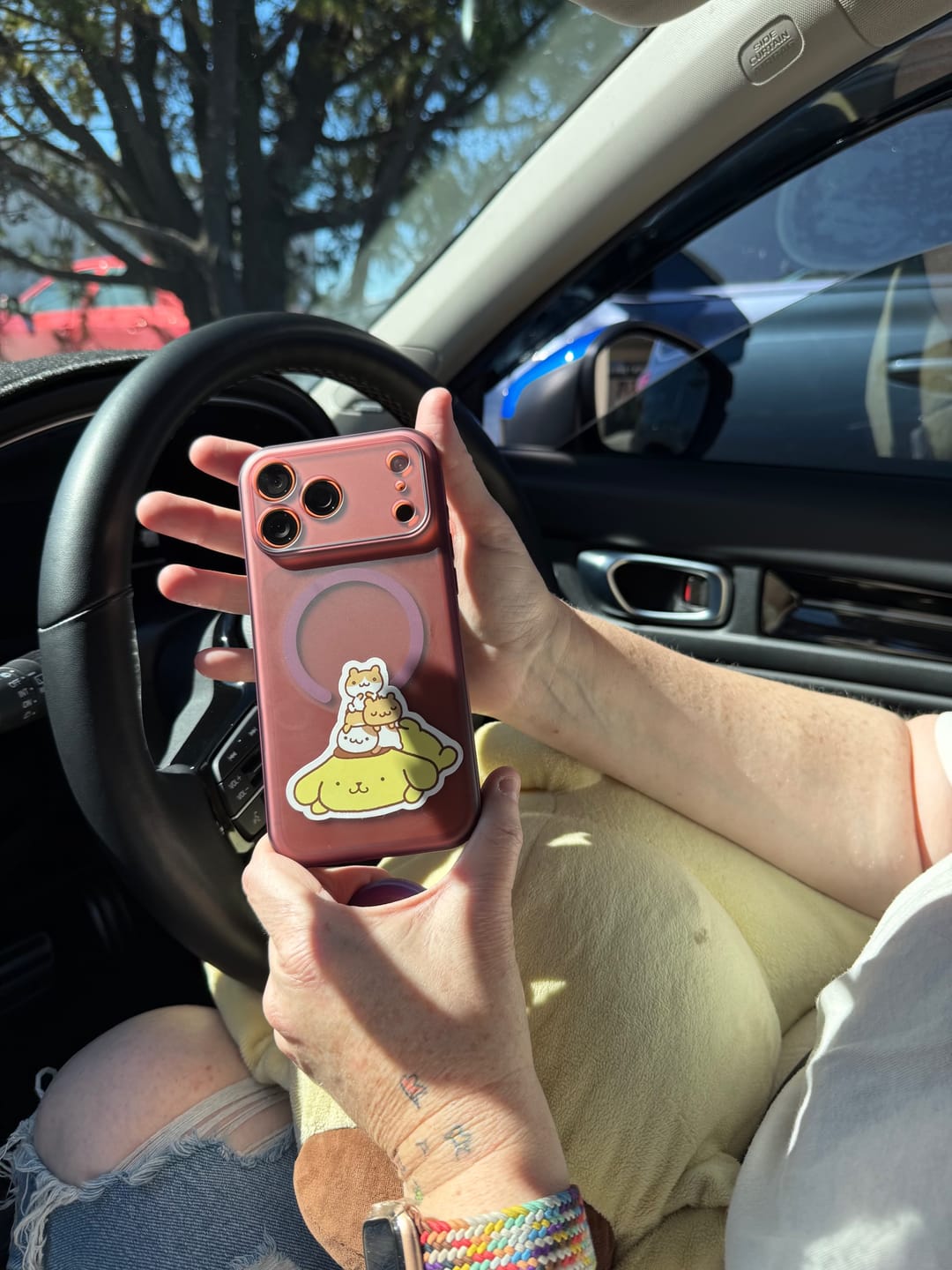 Customer photo review of FrostShield MagSafe Case for iPhone 17 Pro Max