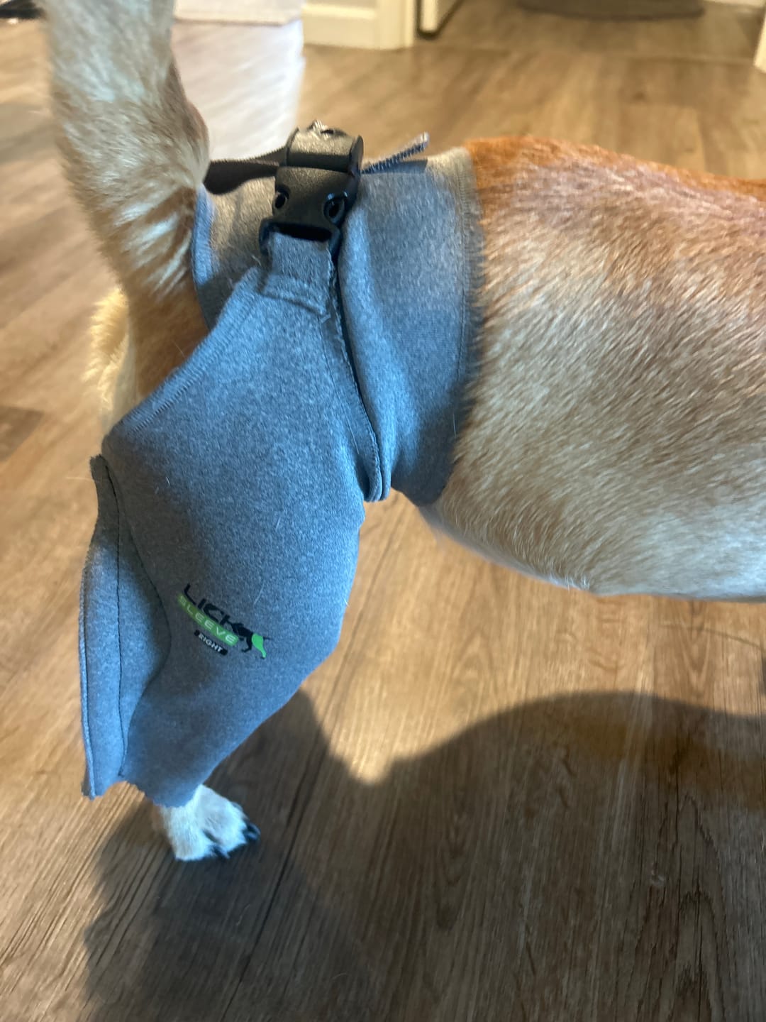 Customer photo review of Lick Sleeve® Leg Sleeve