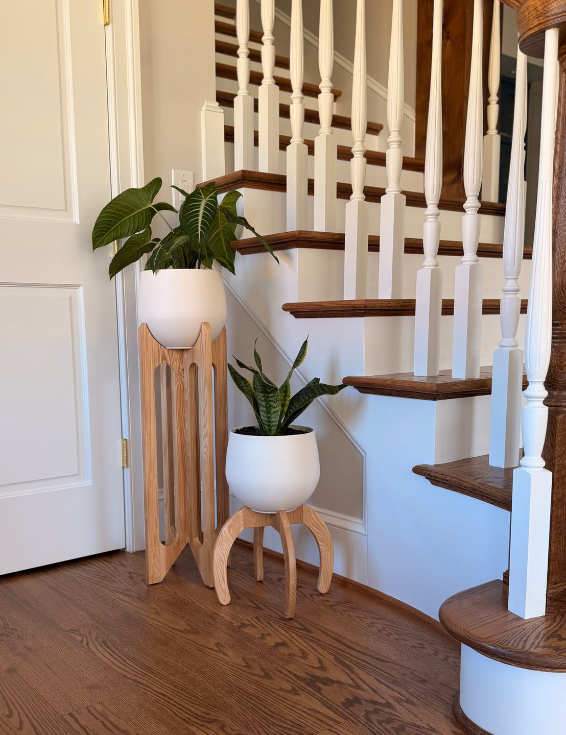 Customer photo review of Nested Plant Stand + Pot