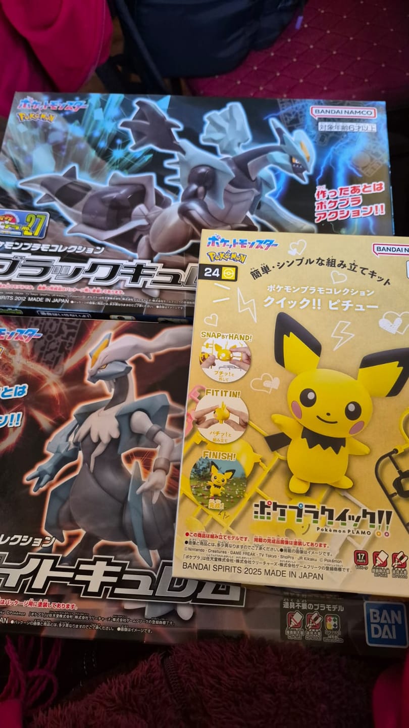 Customer photo review of BLACK KYUREM - Pokémon Model Kit - Bandai