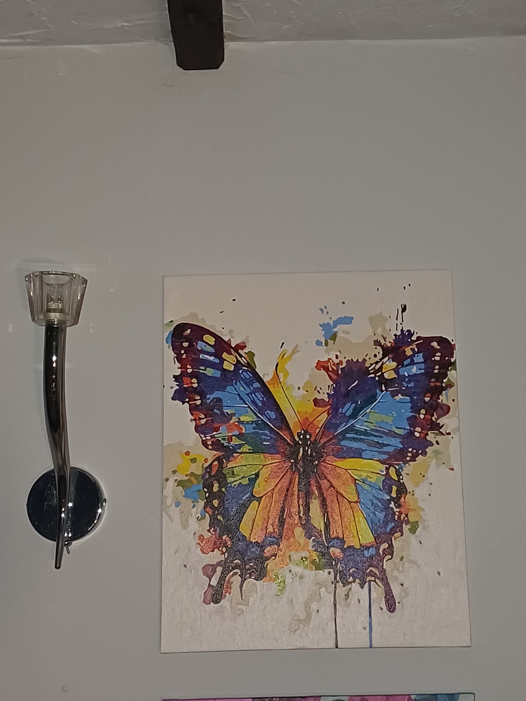 Customer photo review of Butterfly - Color splash | Paint by Numbers