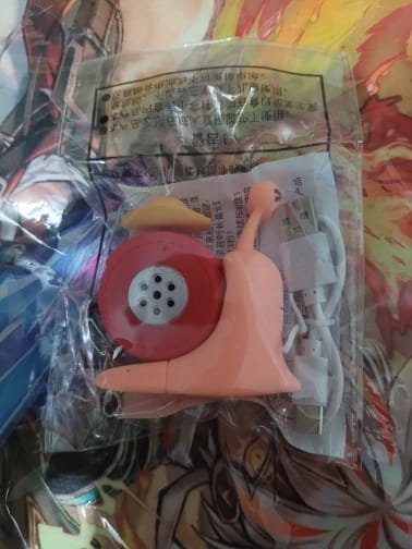 Customer photo review of Mushi Voice Grabadora