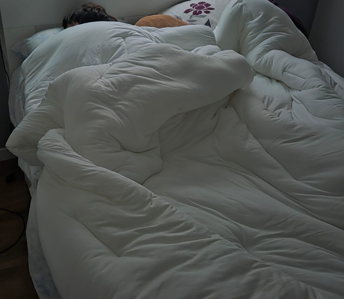 Customer photo review of MarshMellow Comforter