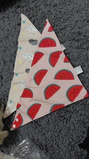 Customer photo review of baberos impermeables 5 Piezas