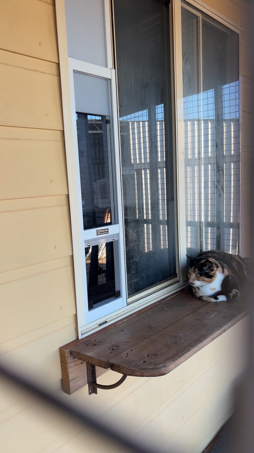 Customer photo review of Cat Door, Cat Window Insert