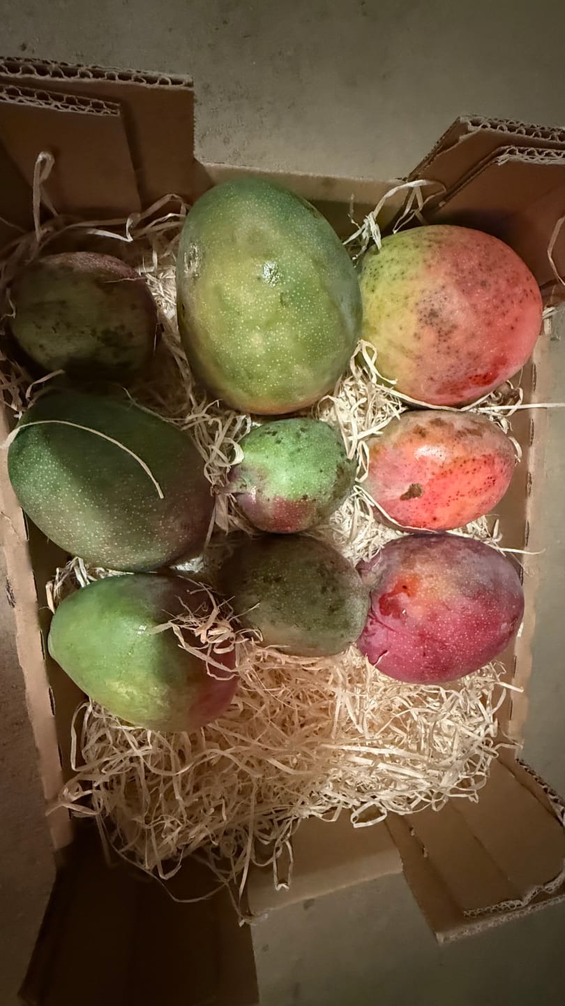 Customer photo review of Mango-Raritäten Mix von Julian Aktionswoche %