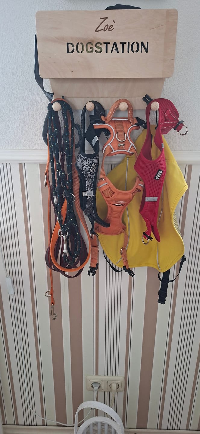 Customer photo review of Dogstation Classic