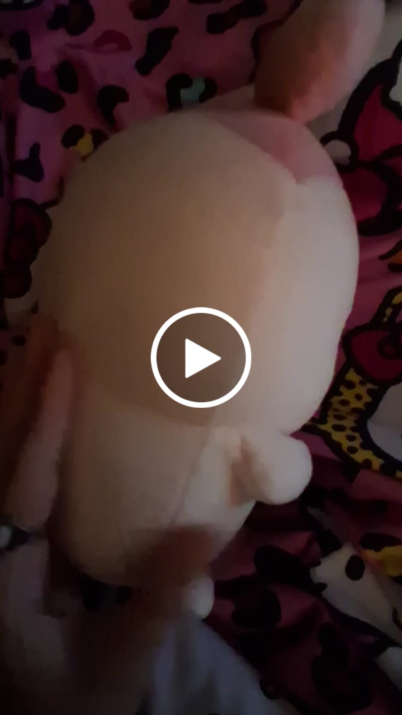 Customer video review of 【Pre-Order】Chiikawa - Soft And Fluffy Plush Toys