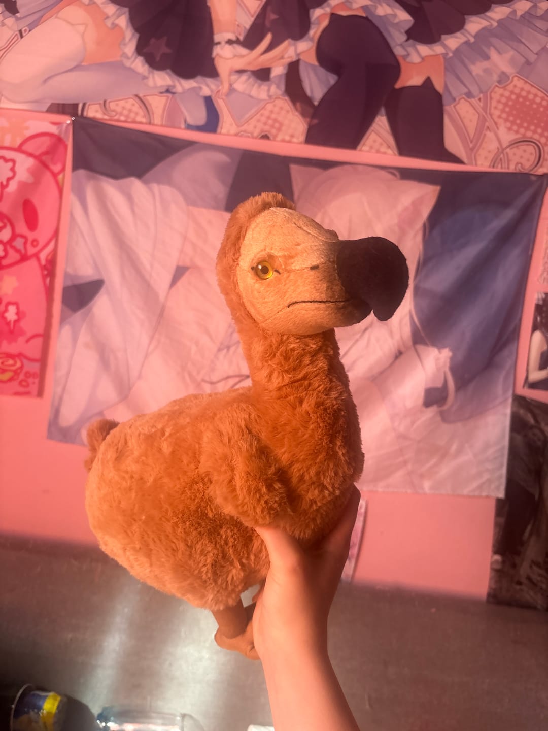 Customer photo review of Dodo Bird Soft Stuffed Plush Toy