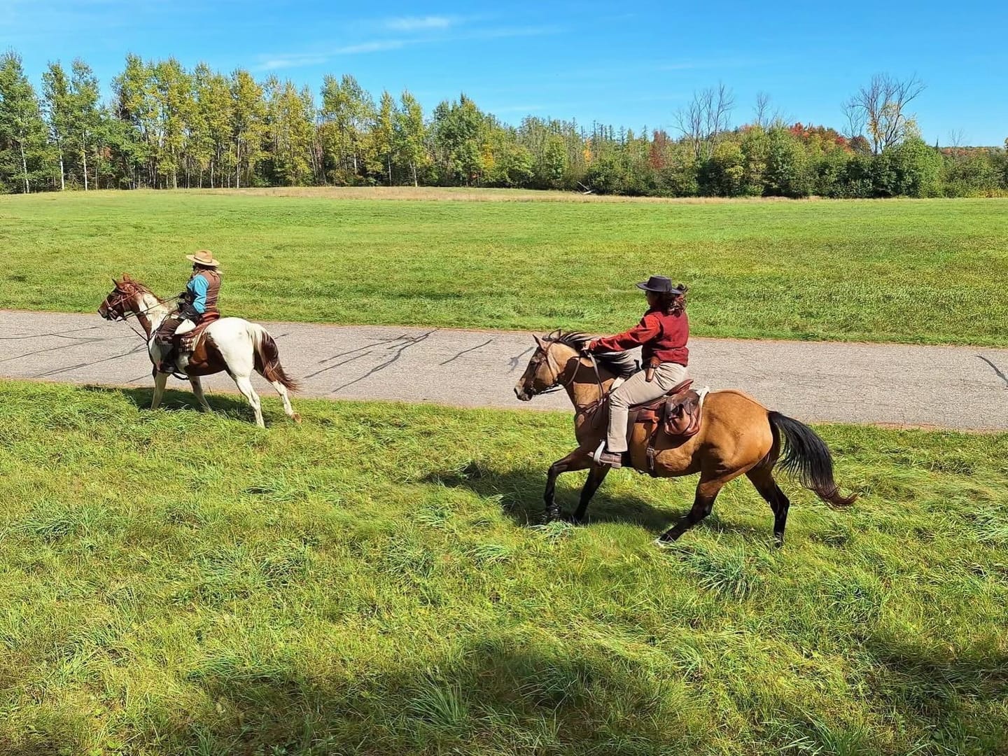 Customer photo review of Renegade® Viper Shield™ Hoof Boot - Black Knight