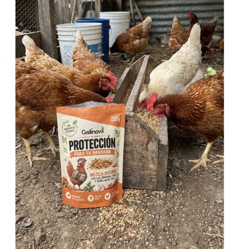 Customer photo review of Grano Gallinas