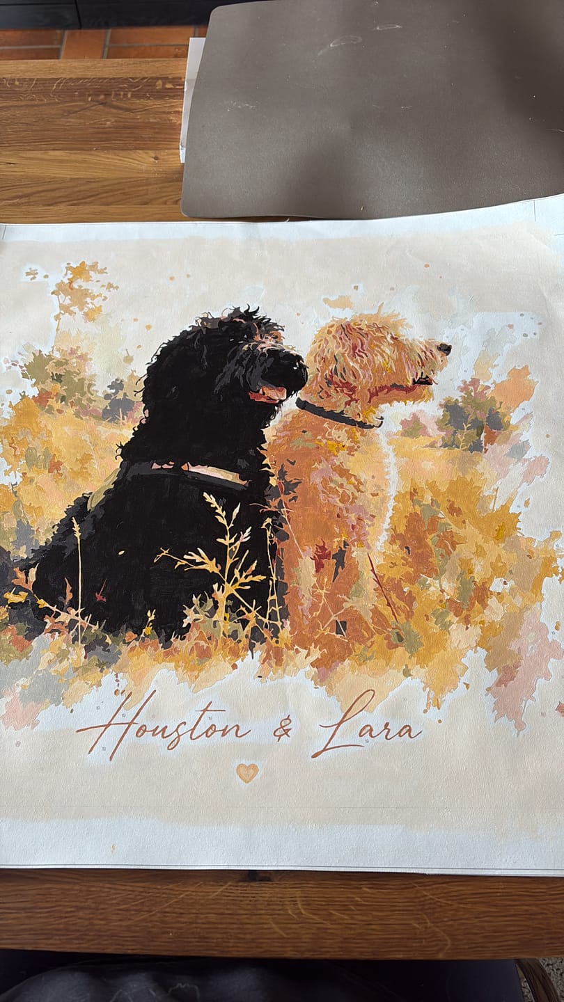 Customer photo review of Eigenes Foto - Malen nach Zahlen