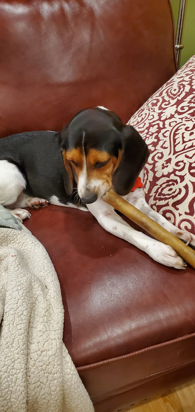 Customer photo review of Super Bull Sticks