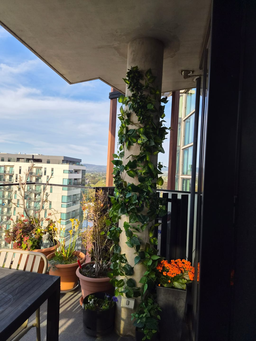 Customer photo review of Artificial Pothos / Ivy Hanging Vines 260cm Each (5 pack)