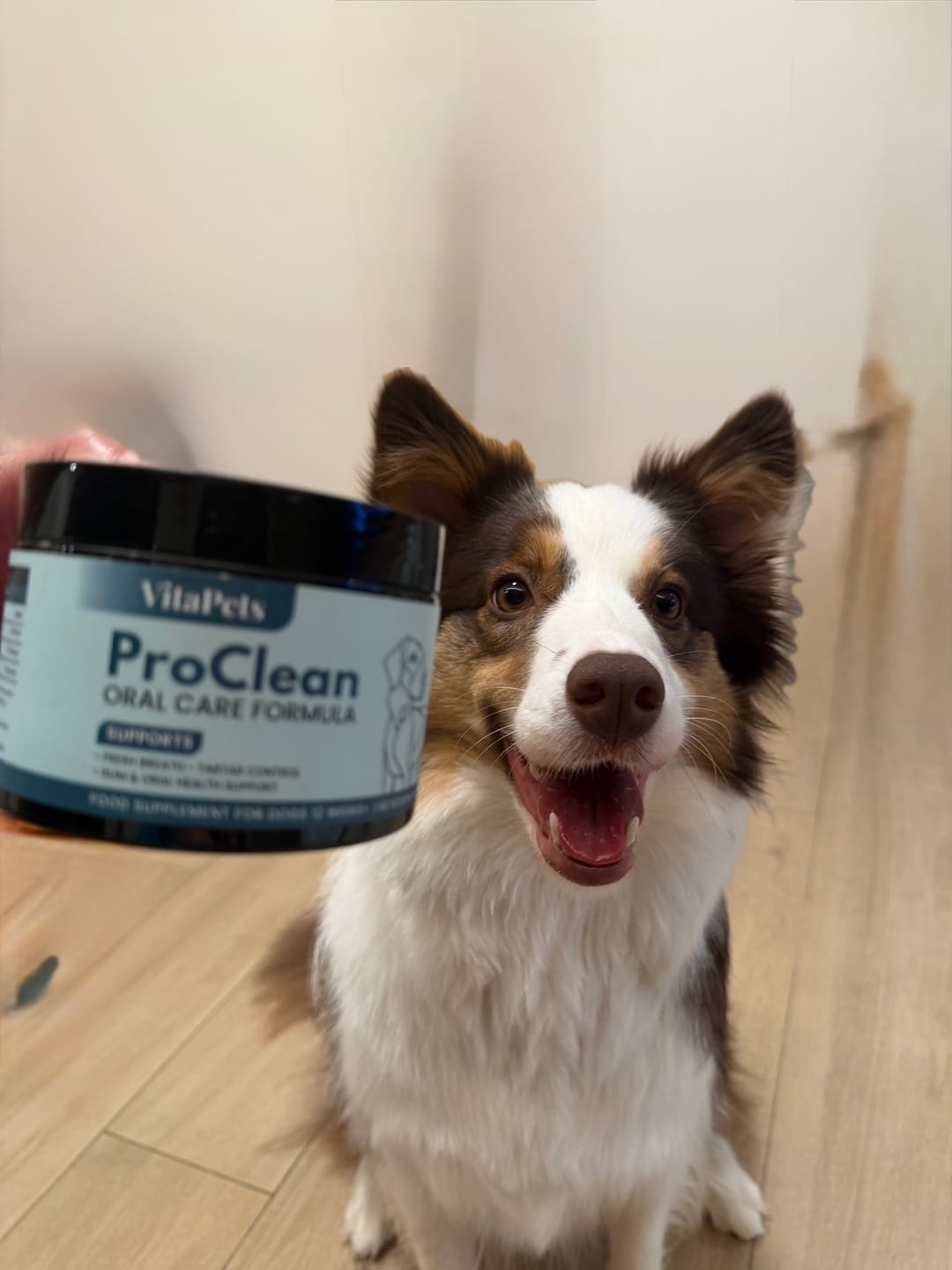 Customer photo review of ProClean™狗狗天然潔牙護齒配方