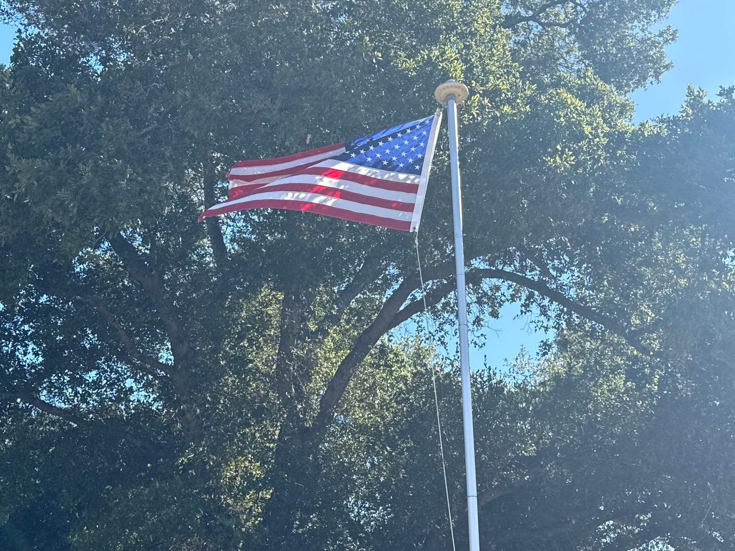 Customer photo review of 3' x 5' American Flag