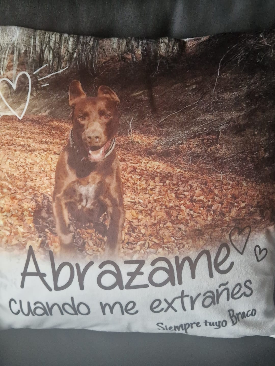 Customer photo review of Abrazame cuando me extrañes - Cojín personalizado