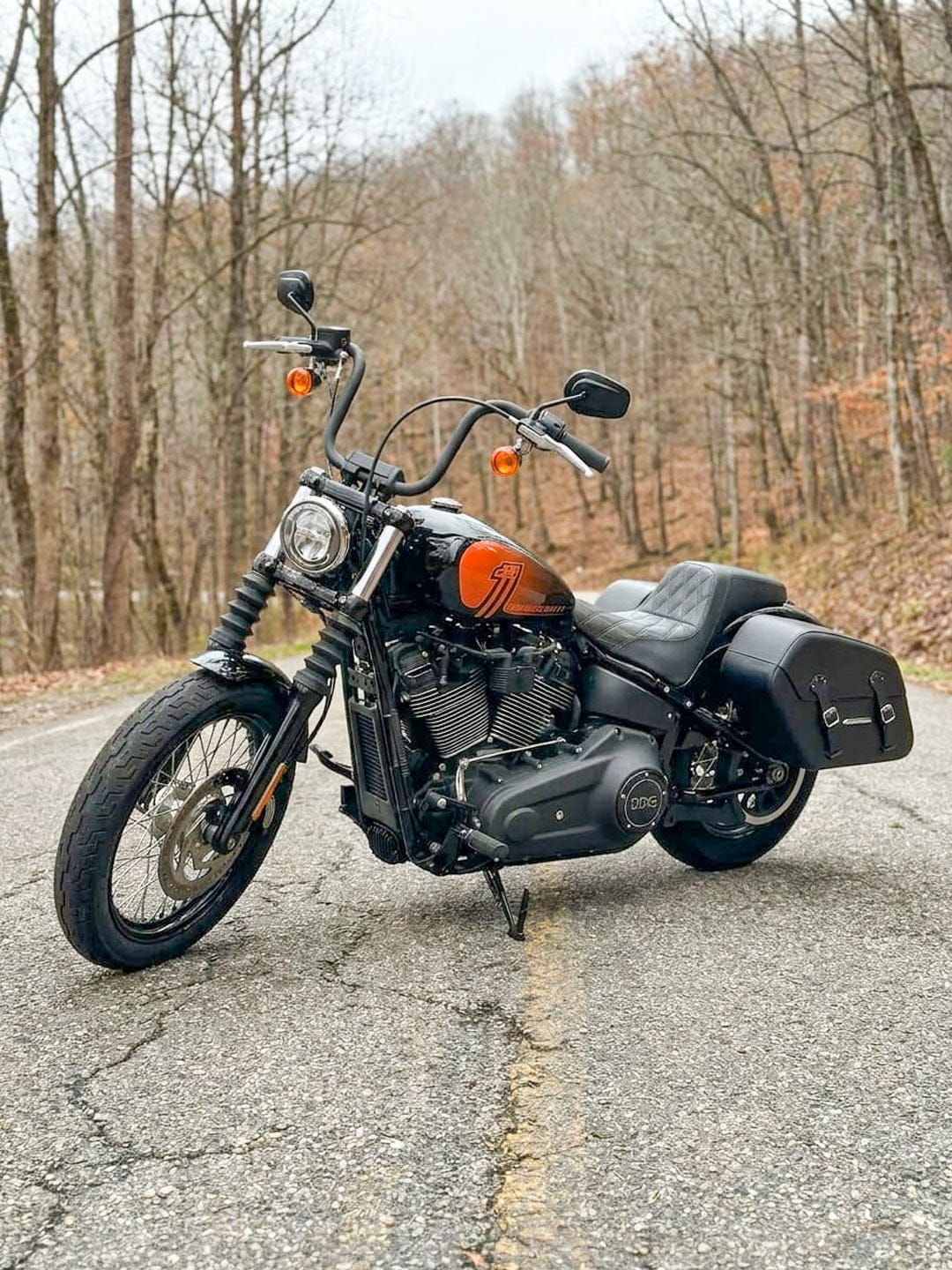 Customer photo review of 42L - Baldur Extra Large Leather Wrapped Motorcycle Hard Saddlebags for Harley Softail Street Bob FXBB/S