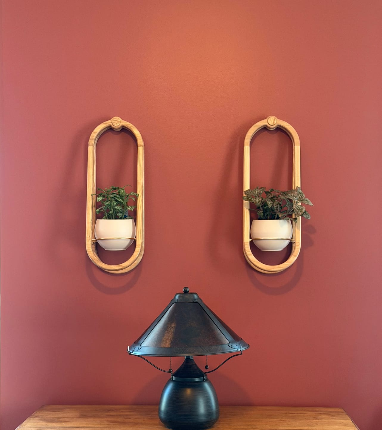 Customer photo review of Frame Wall Planter + Pot