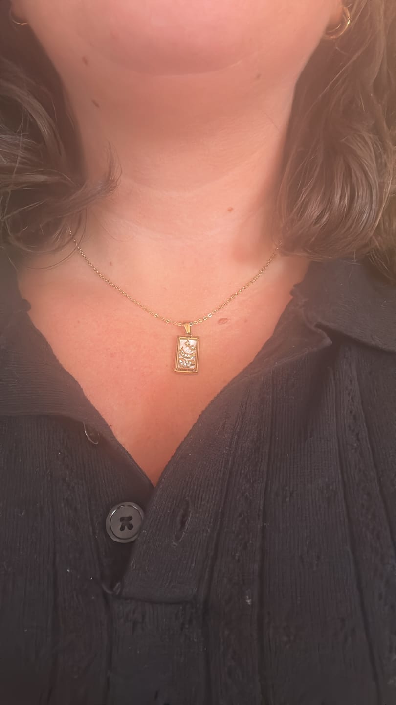 Customer photo review of The Moon