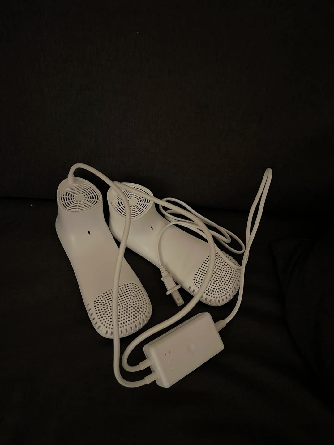 Customer photo review of Ski Boot Dryer