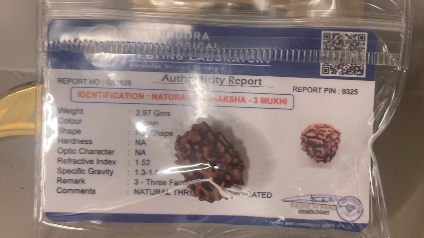 Customer photo review of Authentic 3 Mukhi Rudraksha – Vastu Remedy for Confidence Boost & Karma Cleansing | Ideal for South-East Fire Element Activation