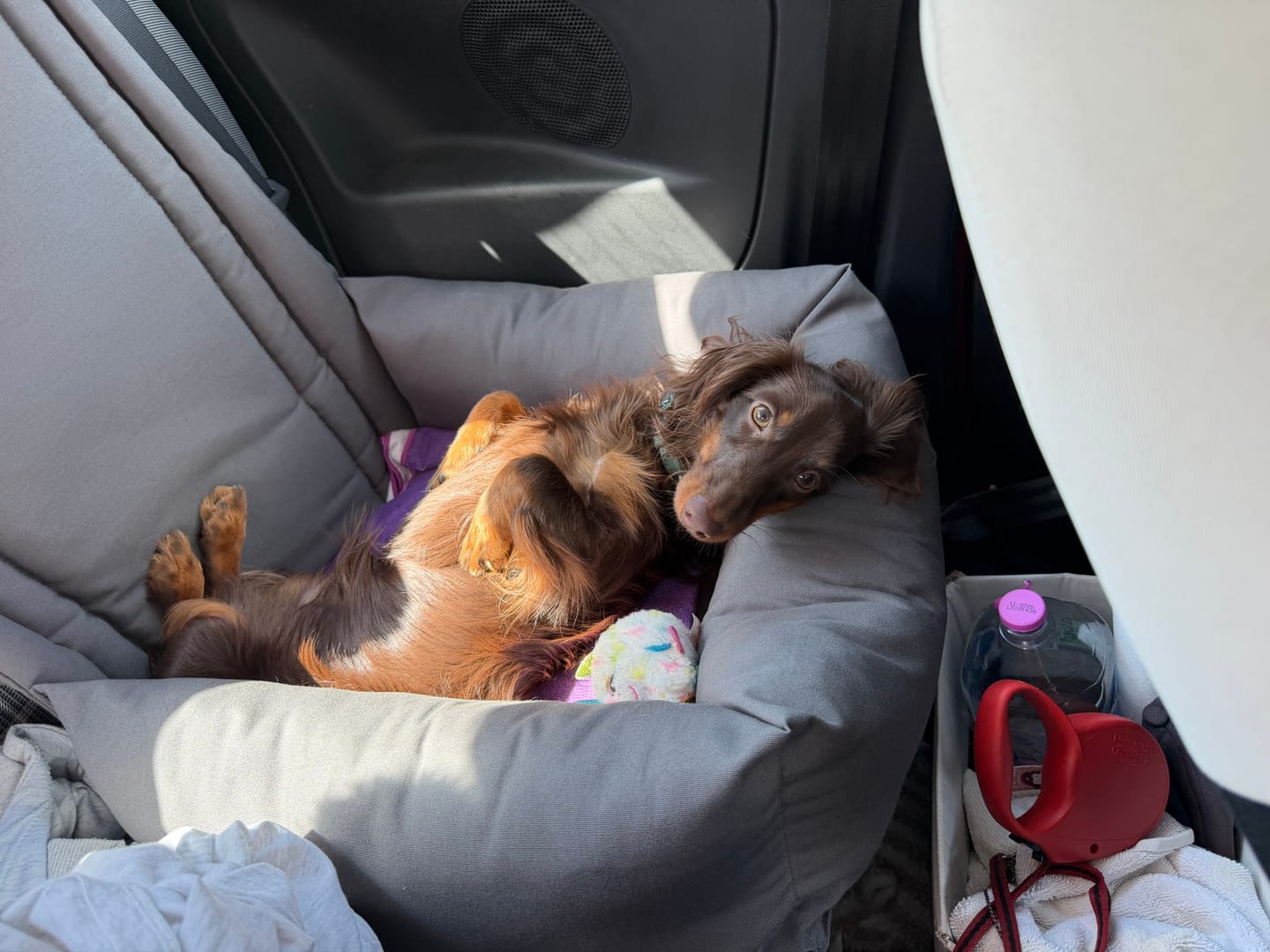 Customer photo review of Seggiolino Auto in Tessuto Dralon Grigio Elegance